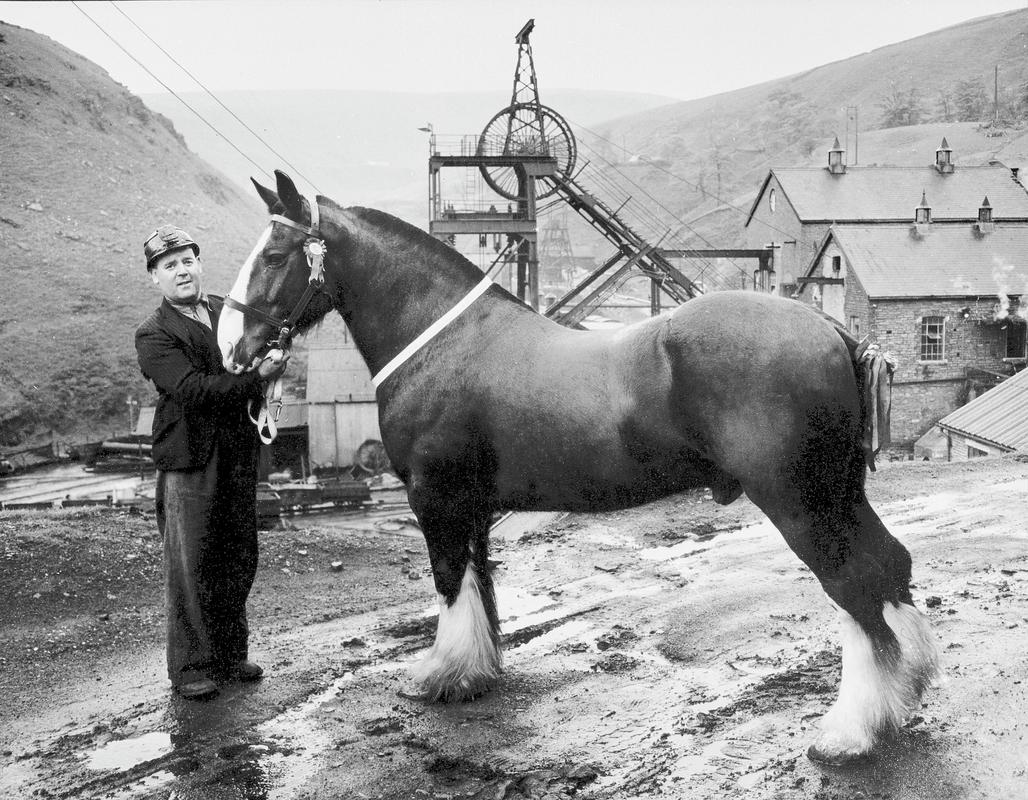 Colliery horse &#039;Abel&#039; with miner, and Glyncorrwg Colliery in the background.