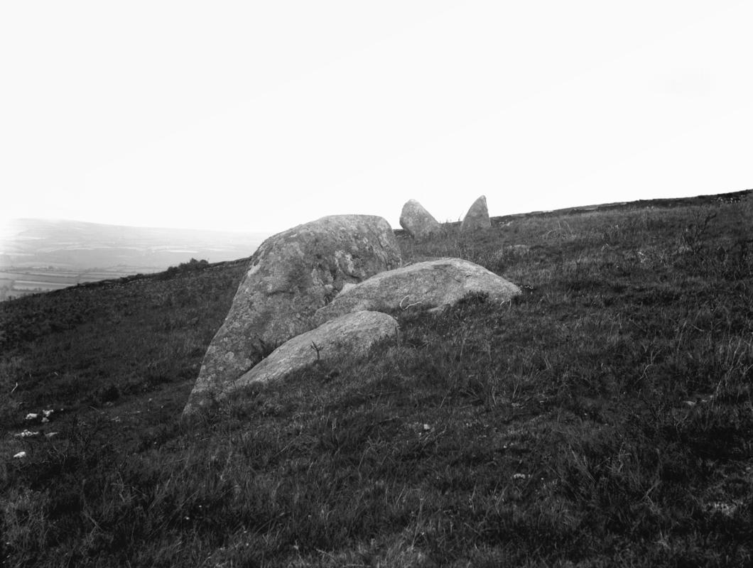 Photographic Negative
