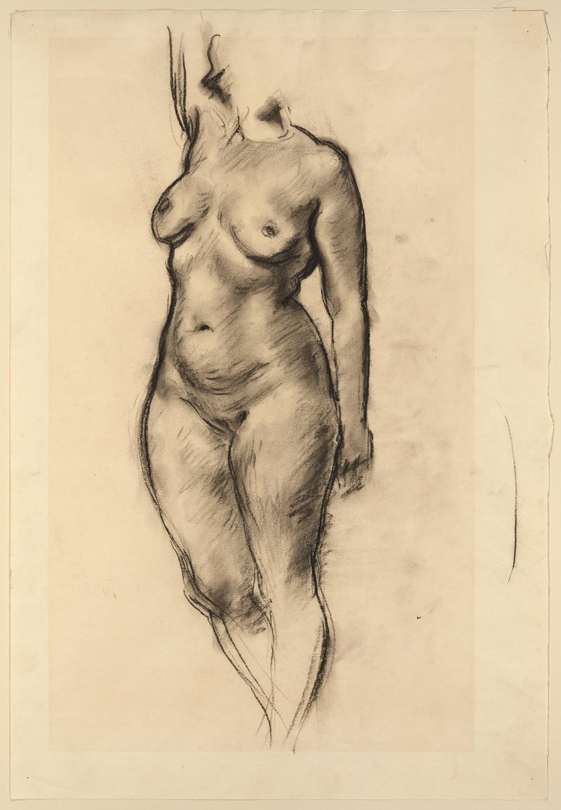 Woman's Torso