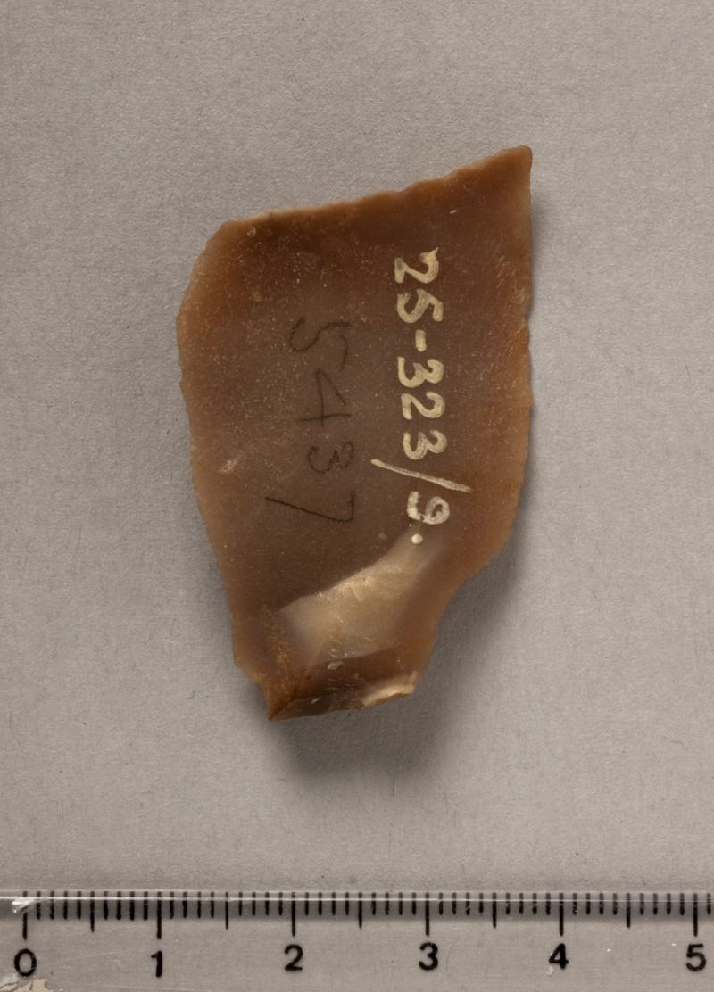 Prehistoric flint flake