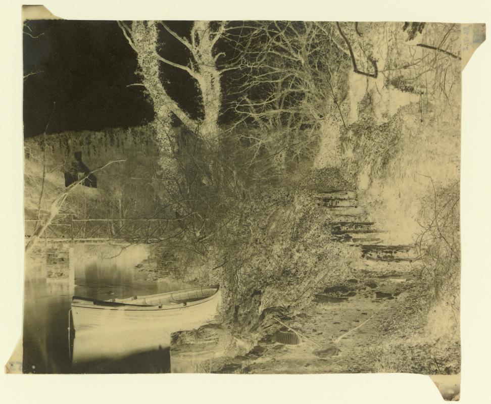 Penllergare, river above upper lake, negative