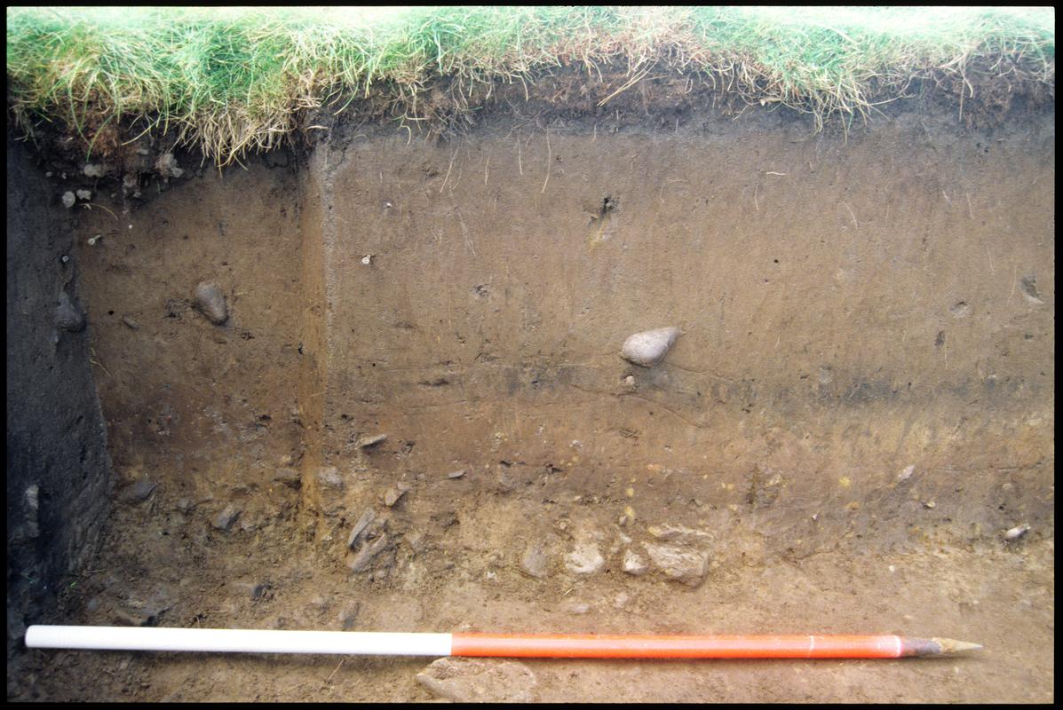 Photographic colour slide