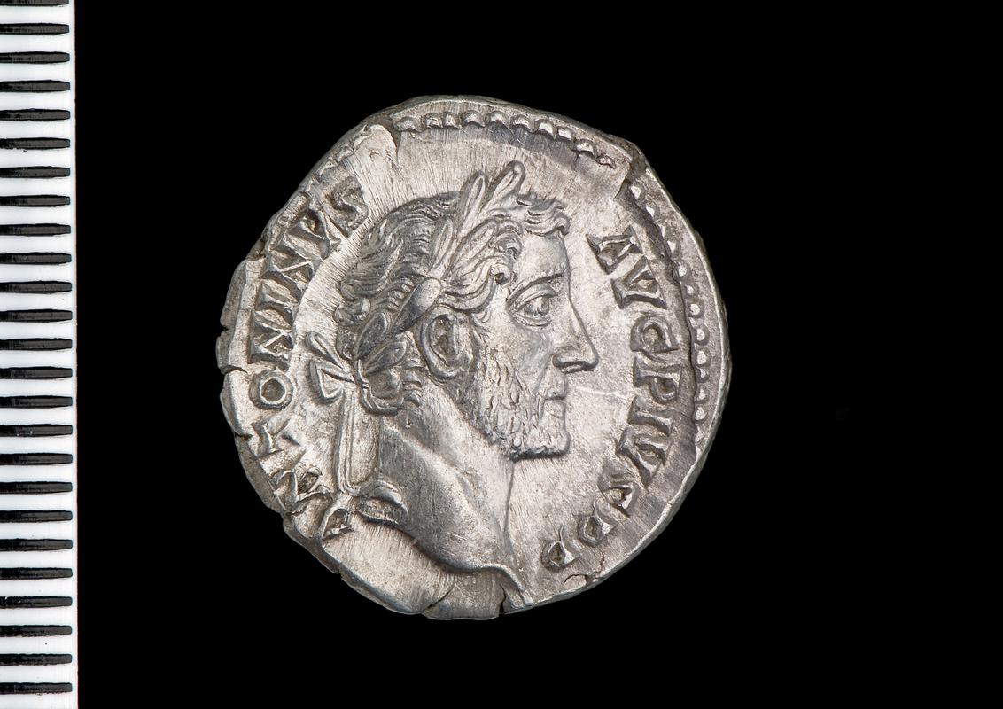 silver denarius (obv.)