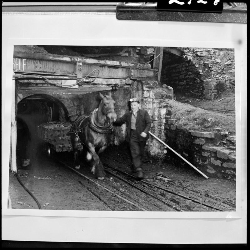 Black and white film negative of a photograph showing a pit pony and his ostler, unidentified colliery.