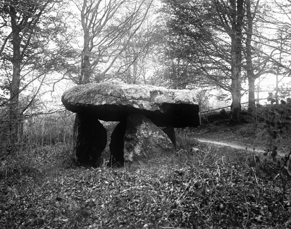 Glass plate negative; chambered tomb