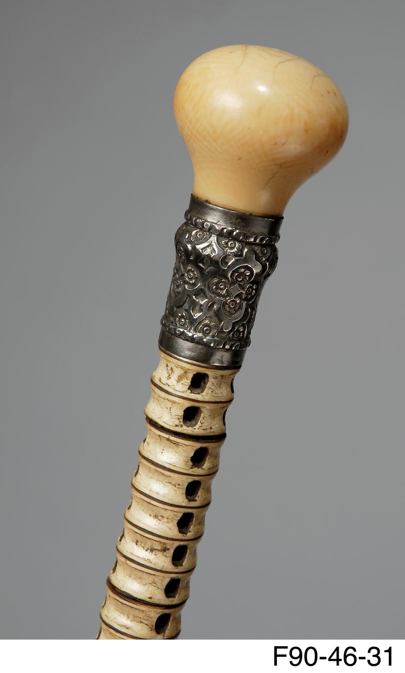 Walking stick