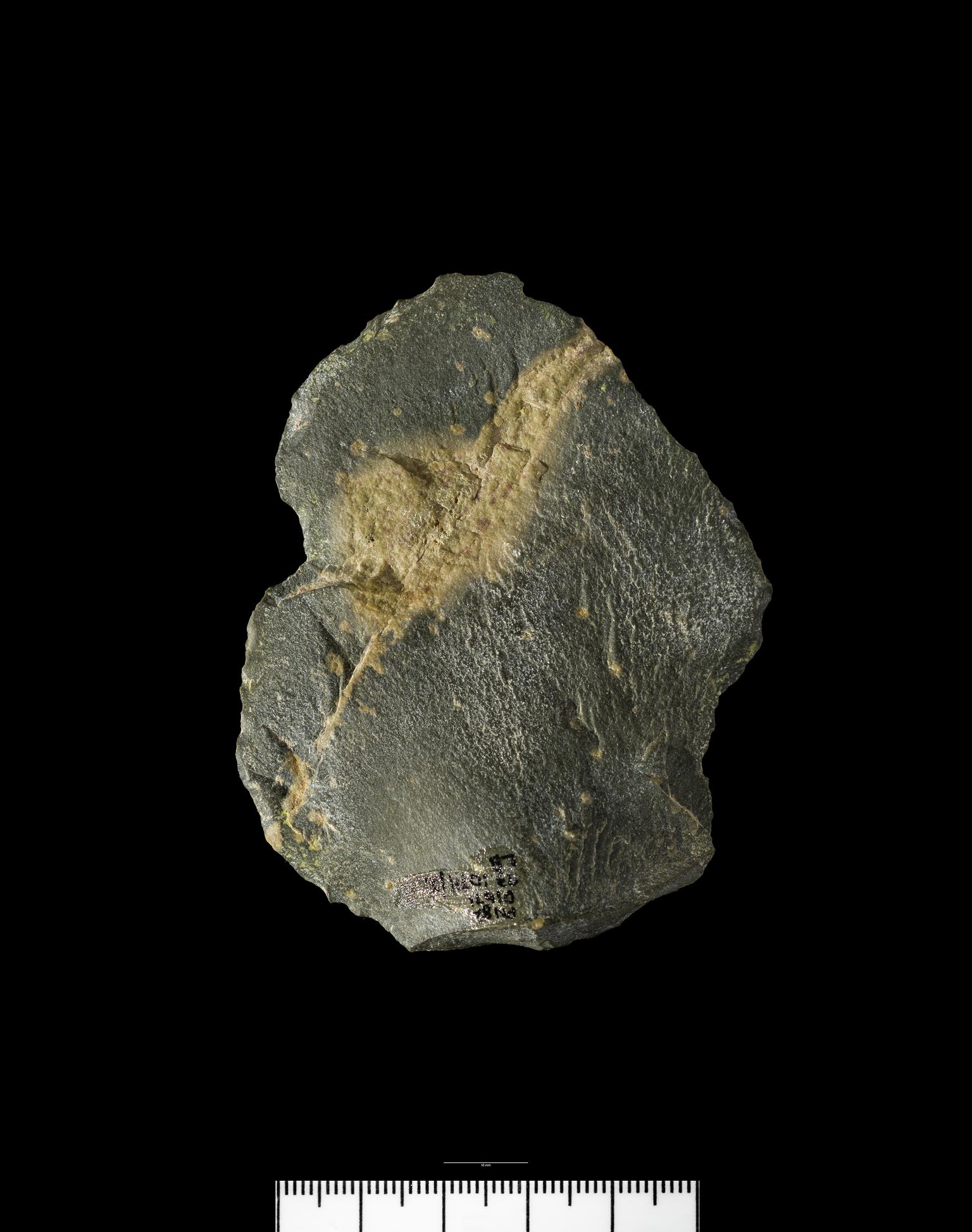 Lower Palaeolithic stone levallois flake