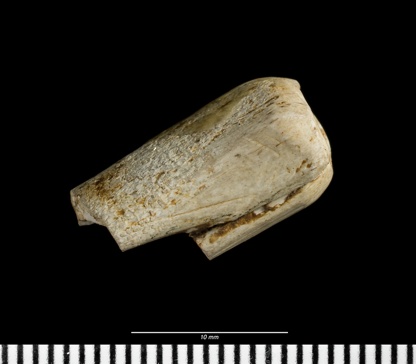 Early Bronze Age bone bead