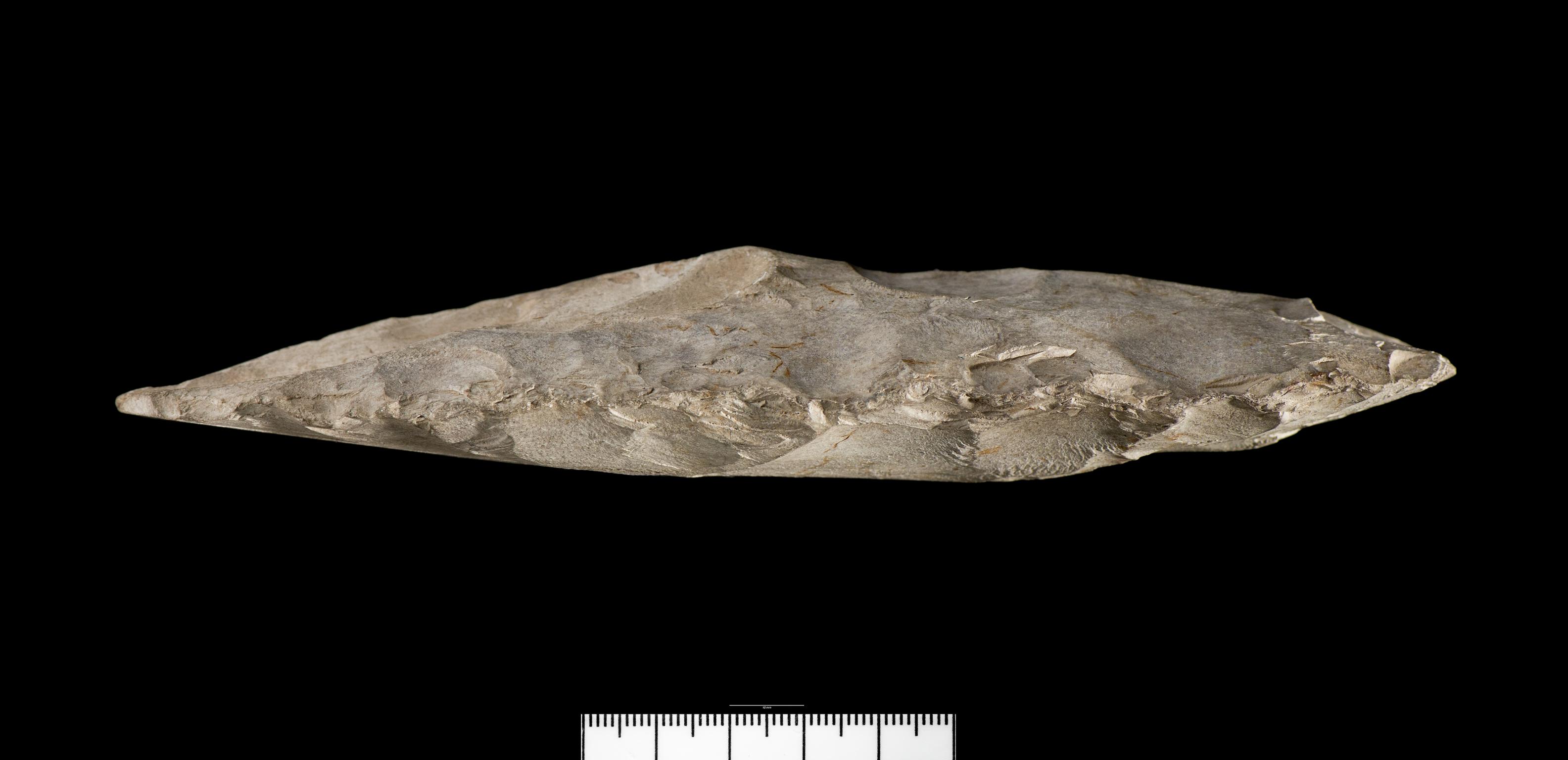 Neolithic stone axehead roughout