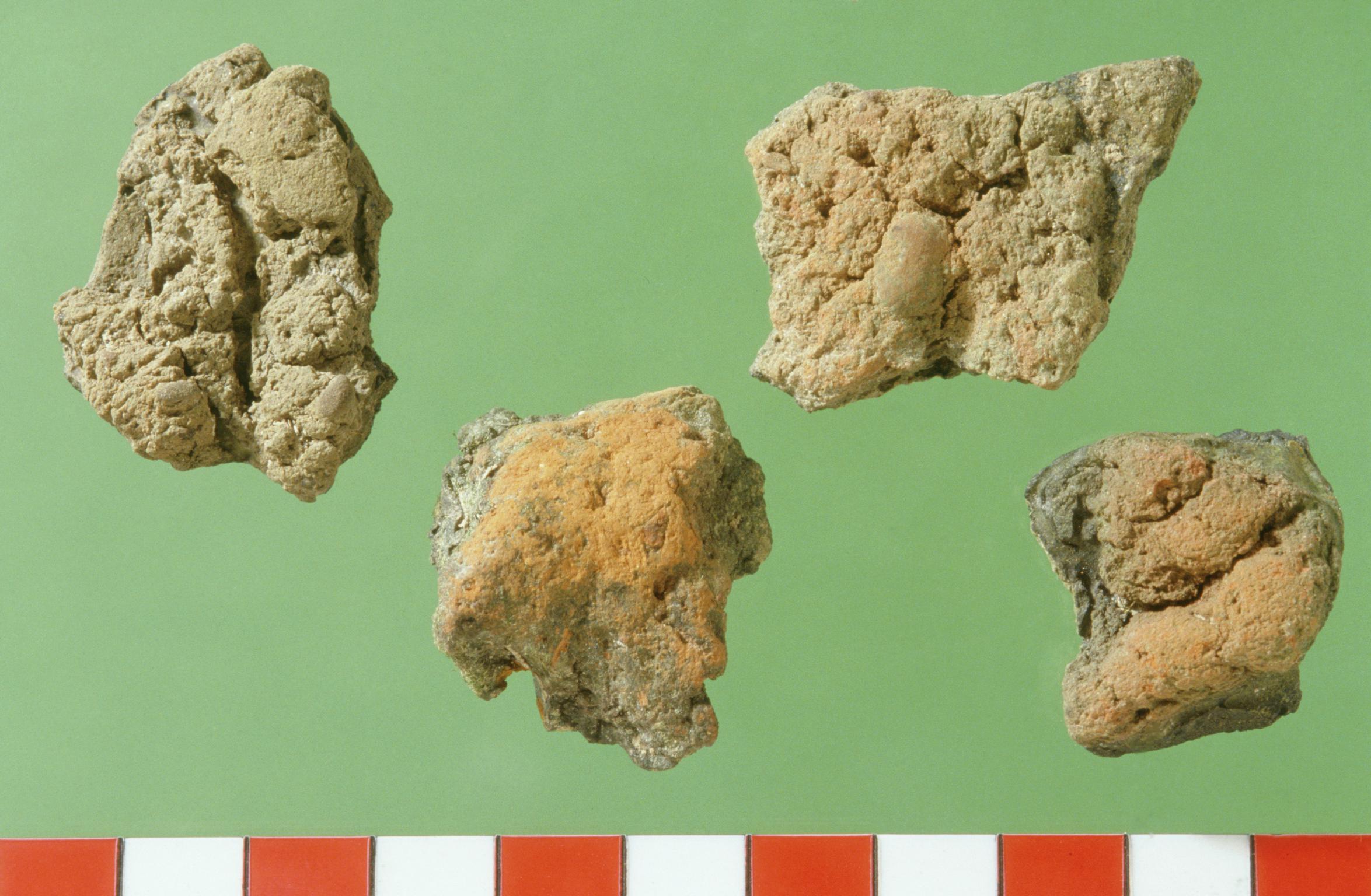 Finds from Llangorse Crannog excavation