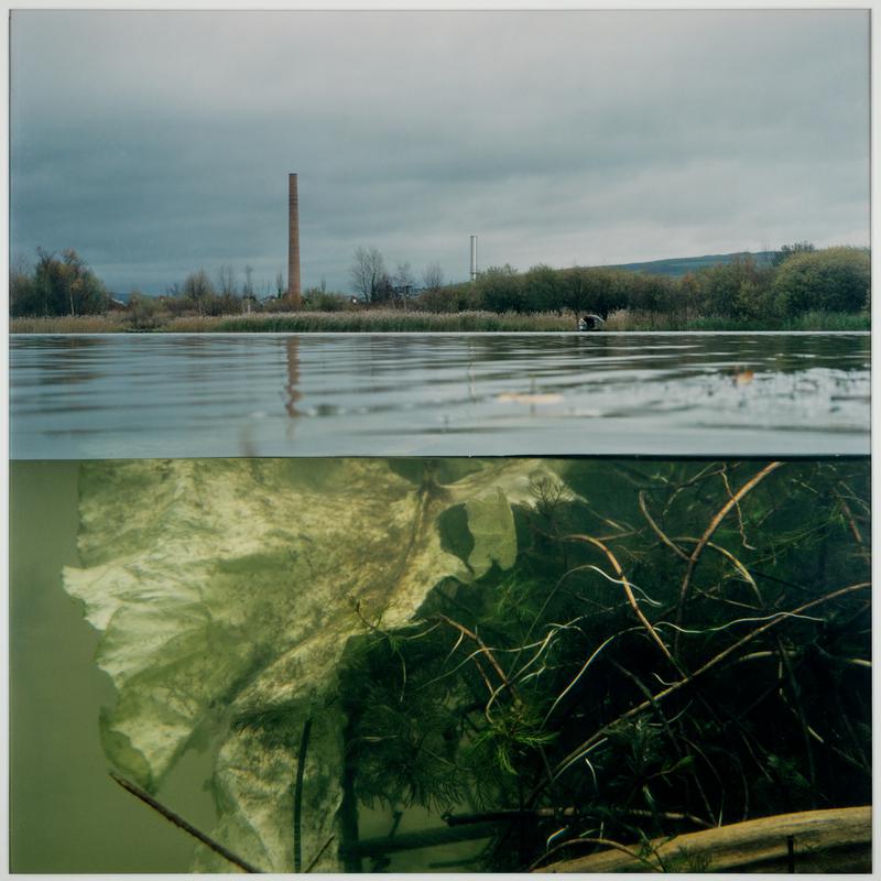 Untitled (from the series Water Level) 8