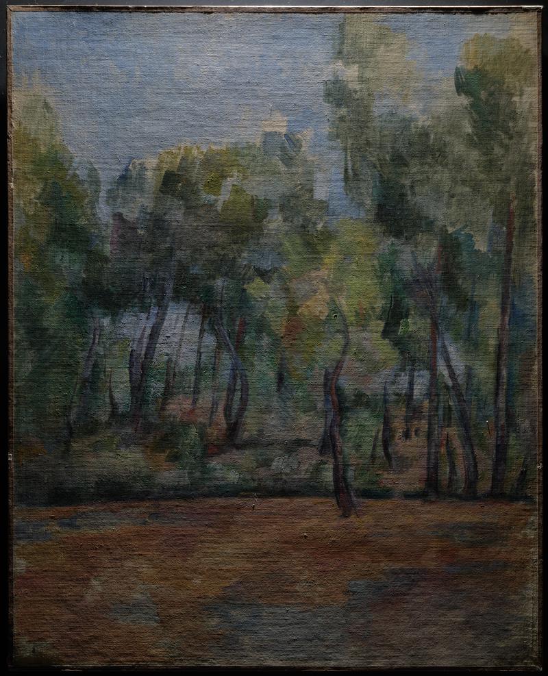 Provençal Landscape