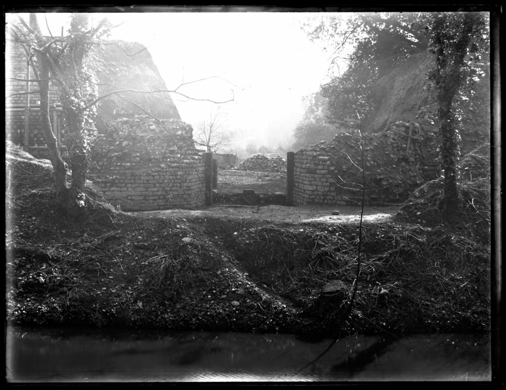 Photographic Negative