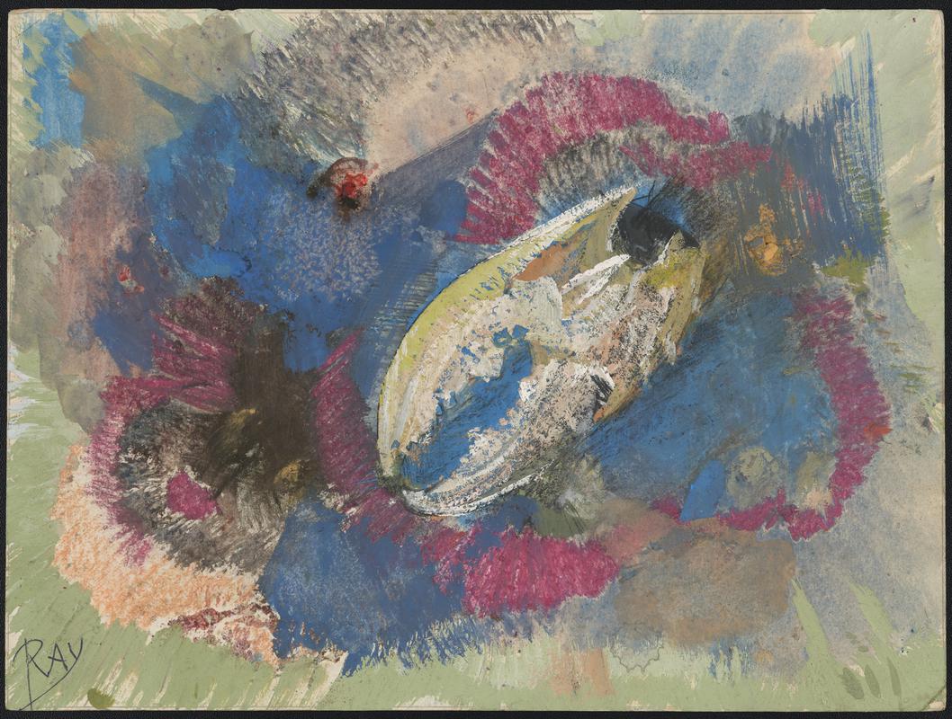 My Seashore / Spider crab, South Haven