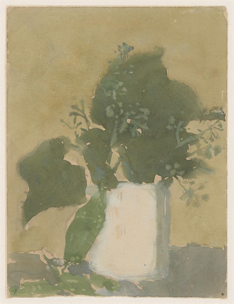 Green leaves in a white jug