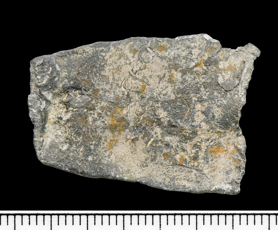 Early Medieval lead trial piece