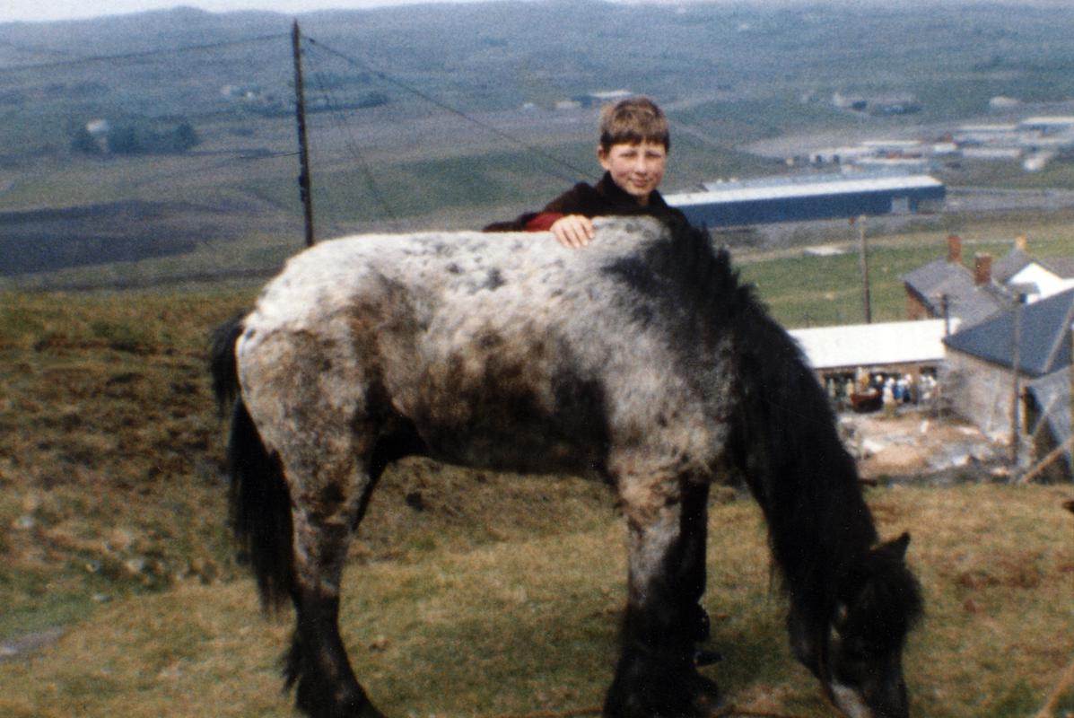 Pit pony, photograph