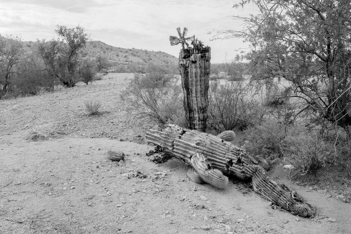 USA. ARIZONA. Target shooting in the desert just outside of Phoenix. 1994.
