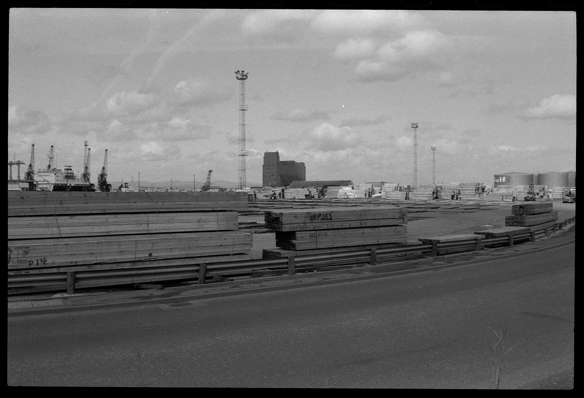 Imported timber on land alongside Queen Alexandra Dock.