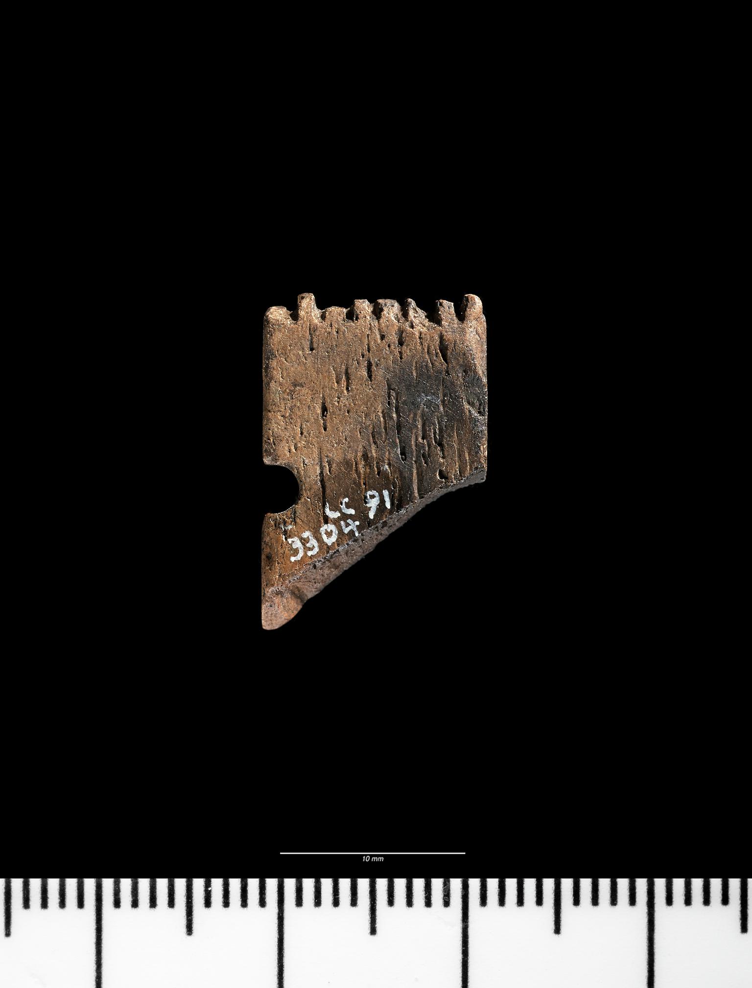Early Medieval bone comb