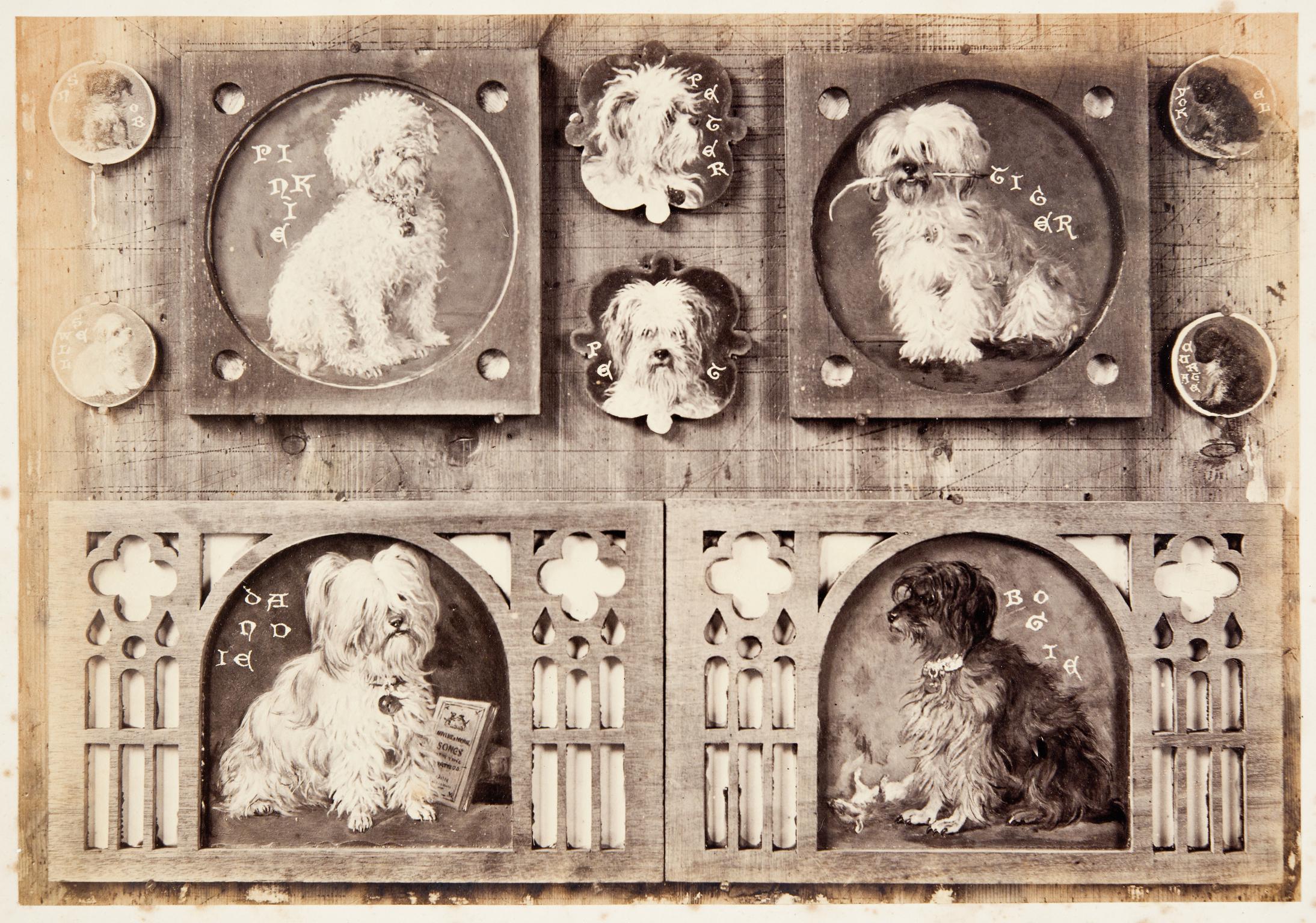 Panels of dogs (for The Dog Cabinet)