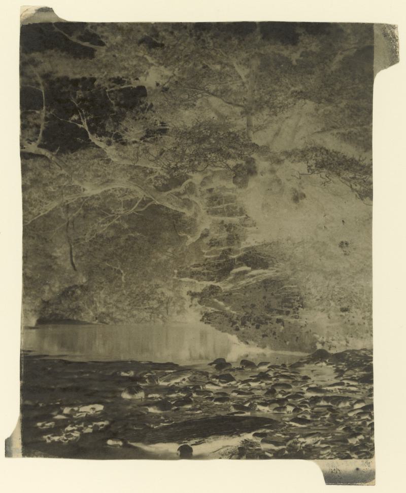 Dulais near Ynisygerwyn, negative