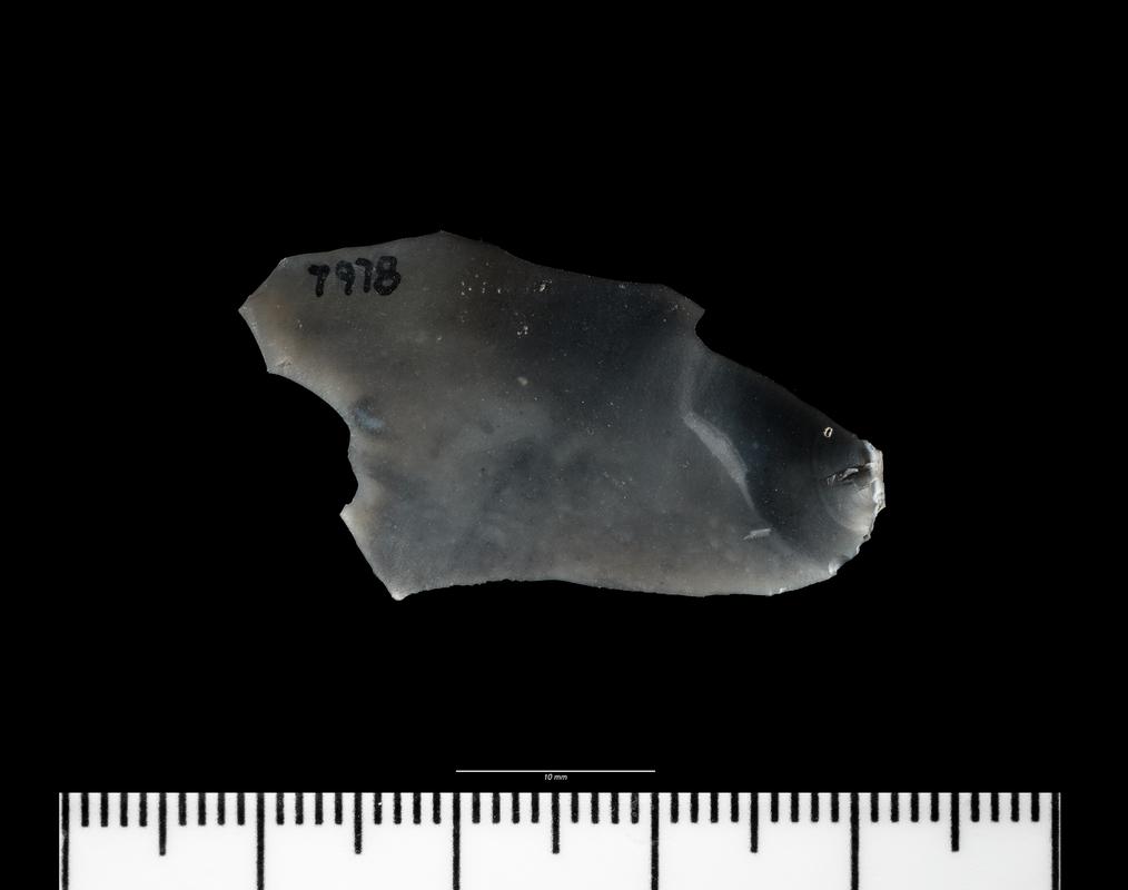 Mesolithic flint flake