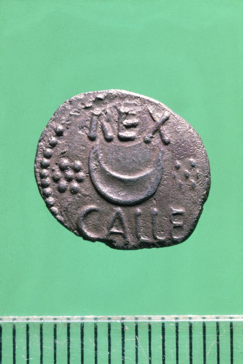 Celtic unit (Atrebates)