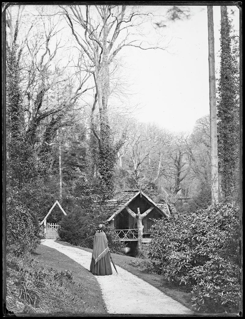 the shanty at Penllergare, glass negative