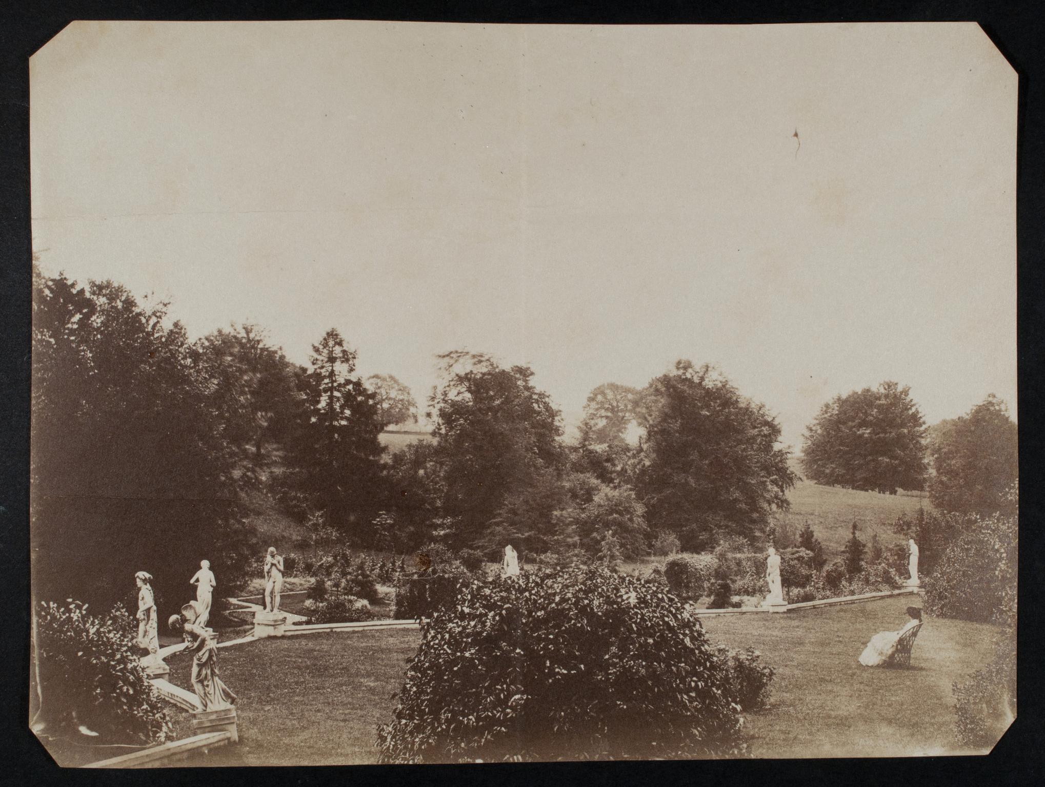 Garden at Hazelwood, photograph