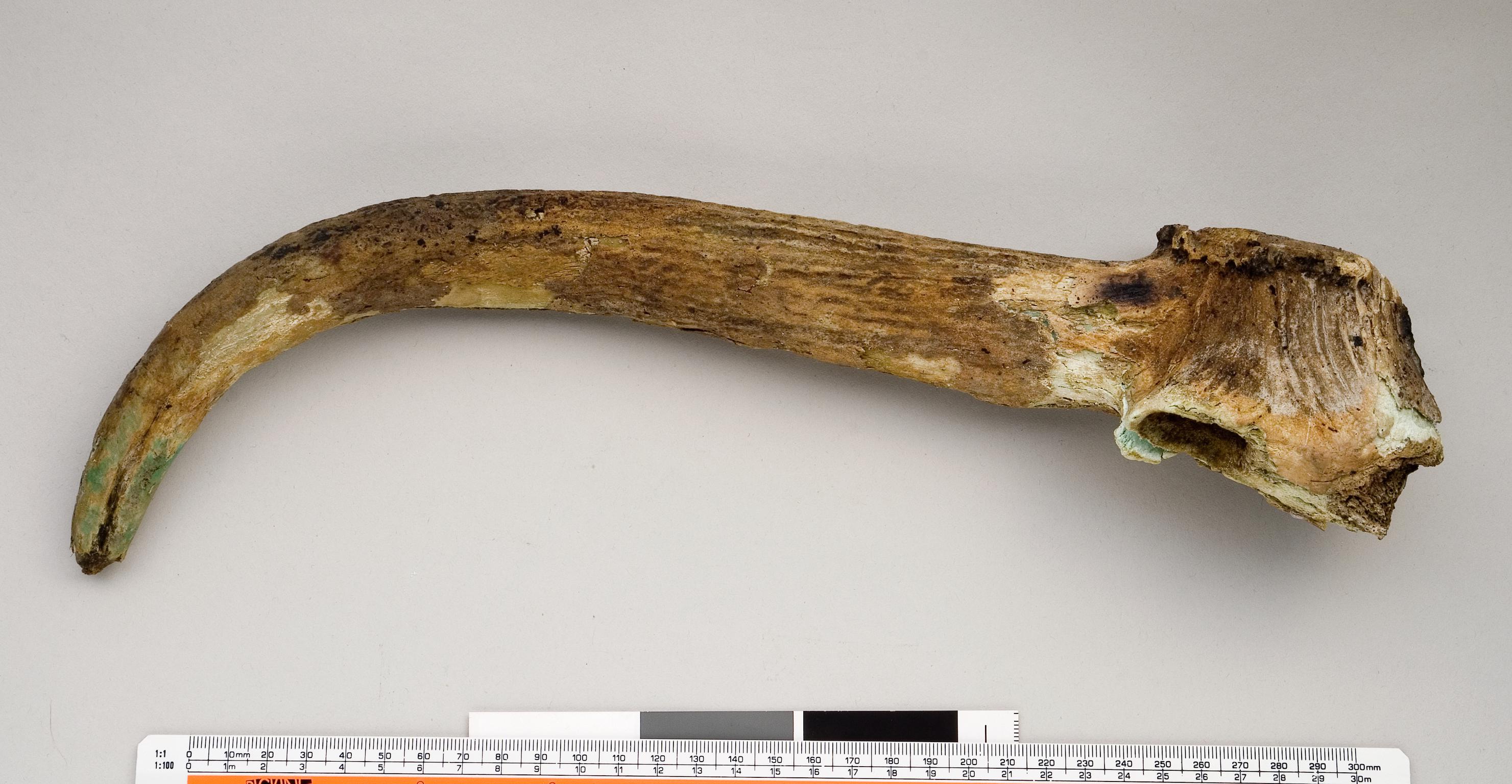 Early Bronze Age antler pick