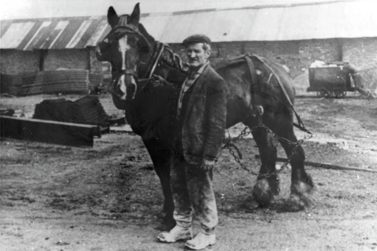 Colliery horse in &#039;traces&#039; on surface of Big Pit
