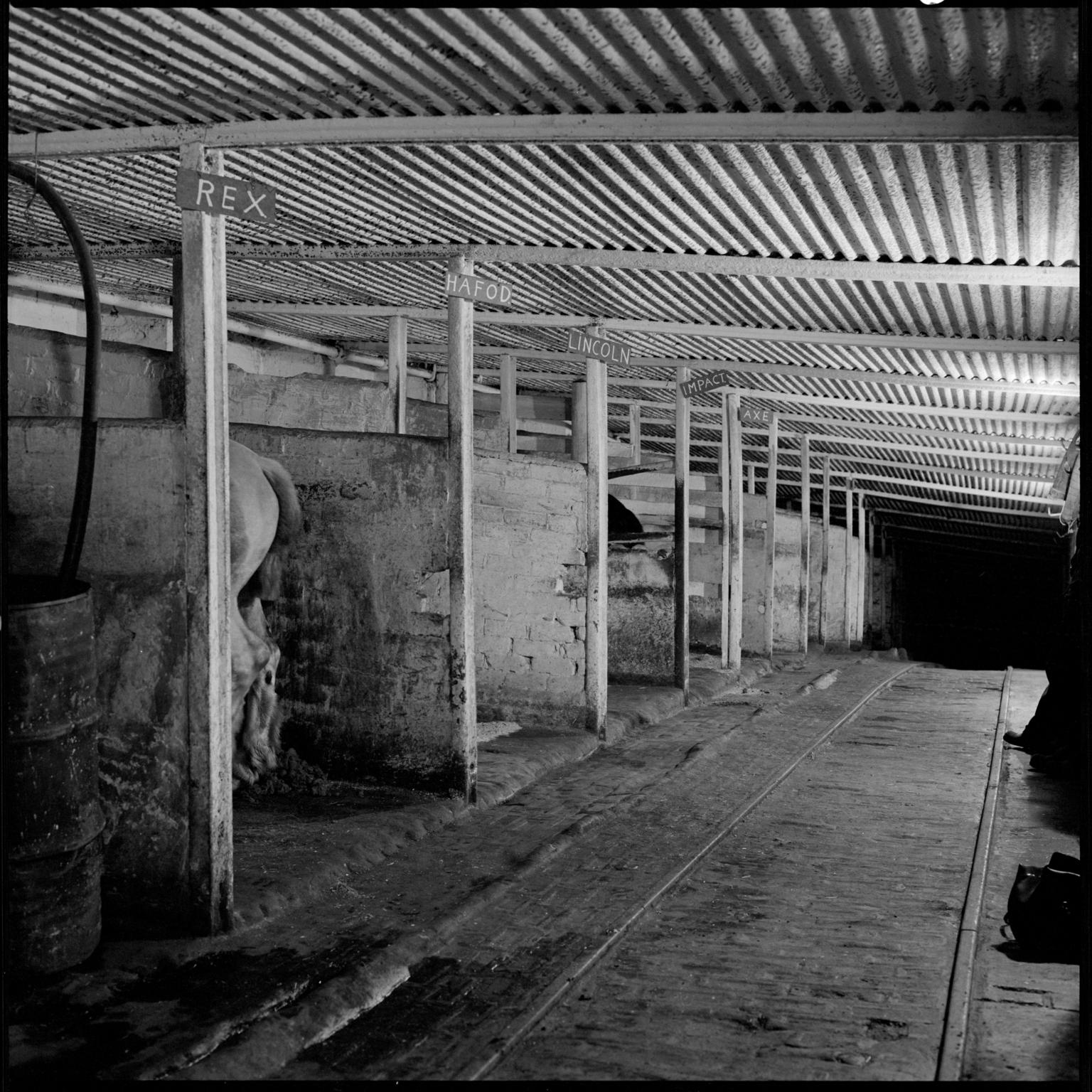 Tower Colliery, film negative
