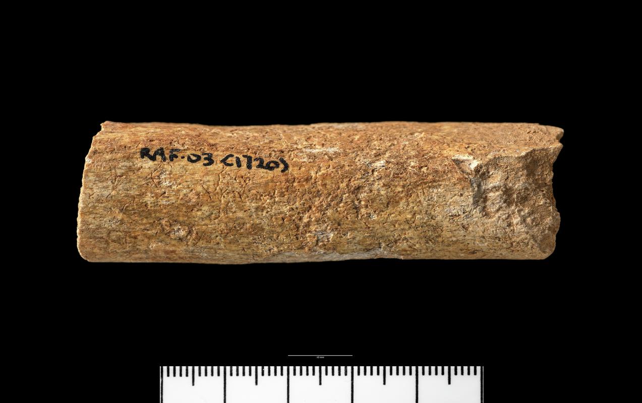 Late Iron Age human remains