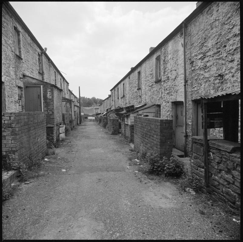 Black and white film negative showing two rows of cottages, unknown location.