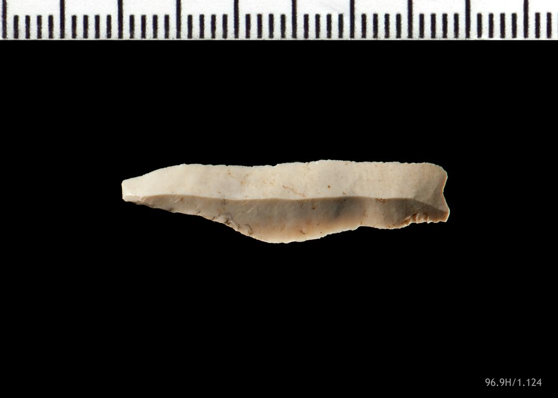 Mesolithic flint microlith