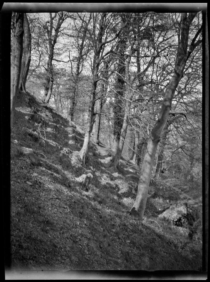 Pentyrch Railway, film negative