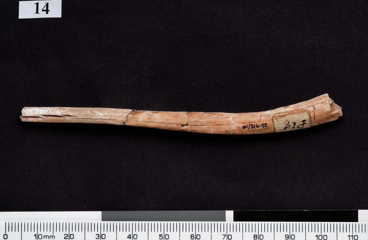 Early Bronze Age antler pin