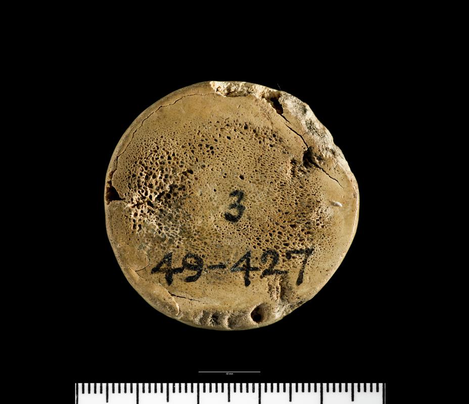 Medieval bone gaming piece