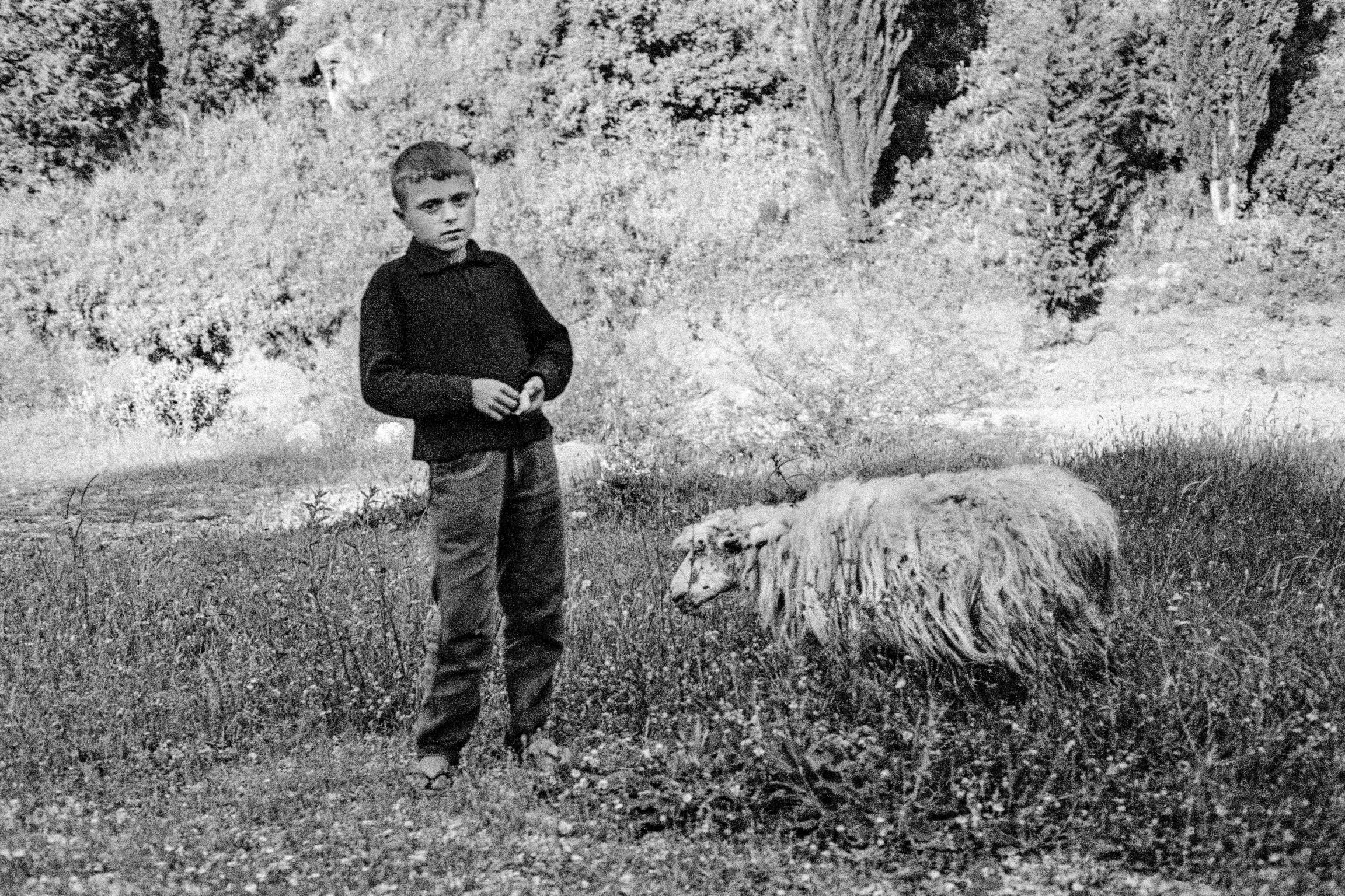 Young shepherd. Paleokastritsa. Corfu. Greece