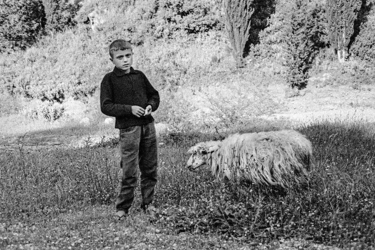 GREECE. Corfu. Paleokastritsa. Young shepherd. (Picture used as basis of James Lloyd painting). 1964.
