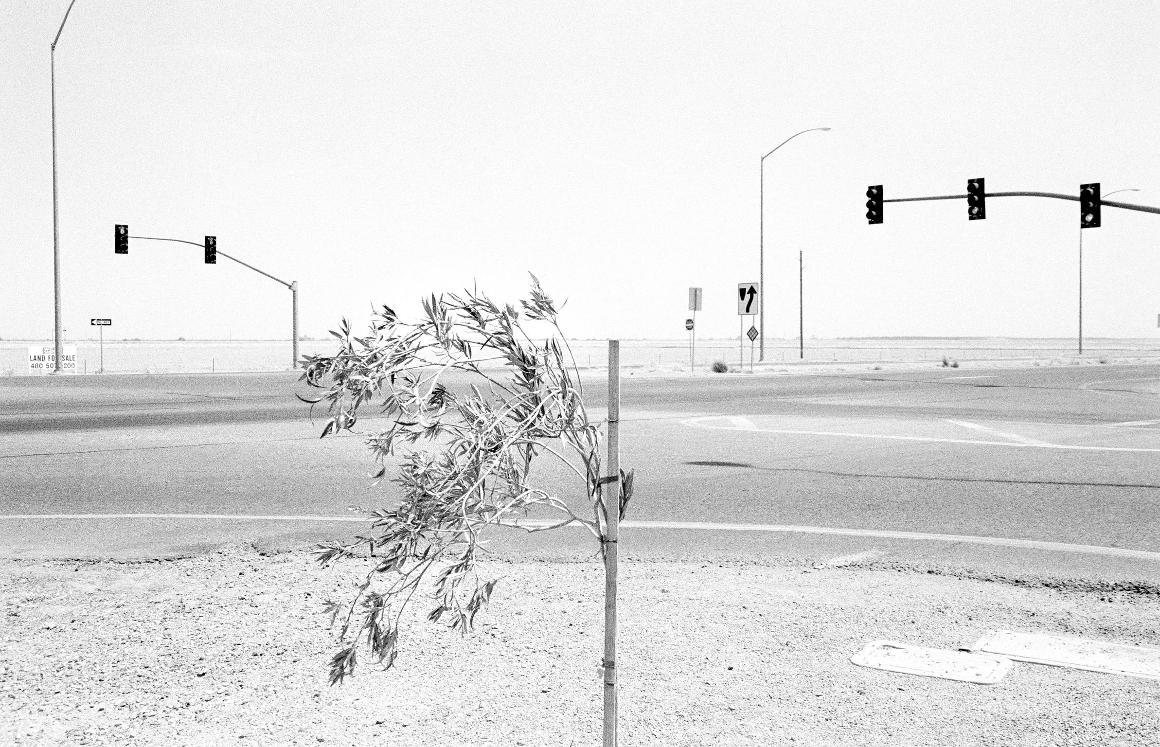 Road intersection. Yuma, Arizona USA