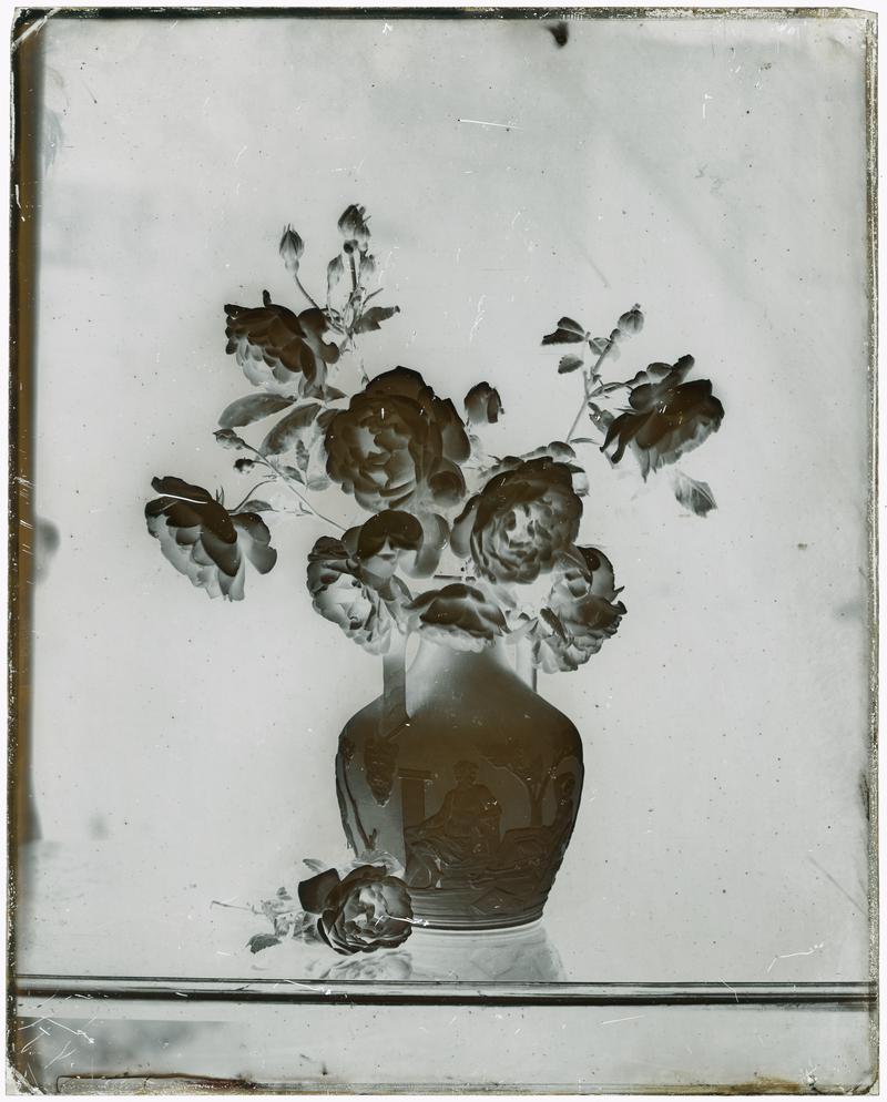 vase with roses, glass negative