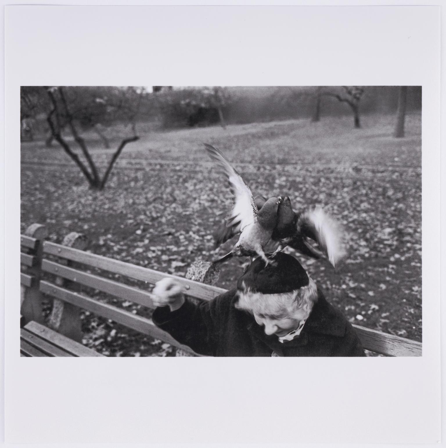 Woman with pigeons on head, Central Park, New York