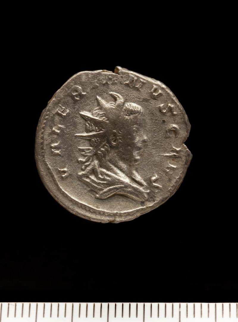 Sully Hoard I (1899)