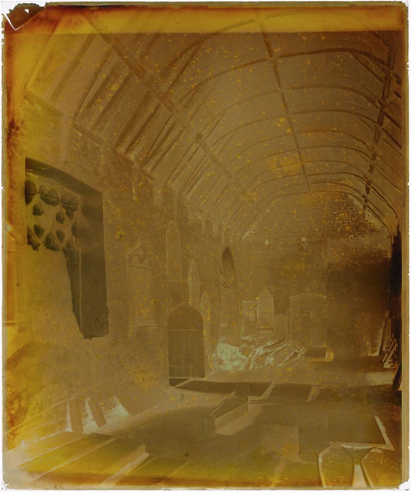 Photographic Negative
