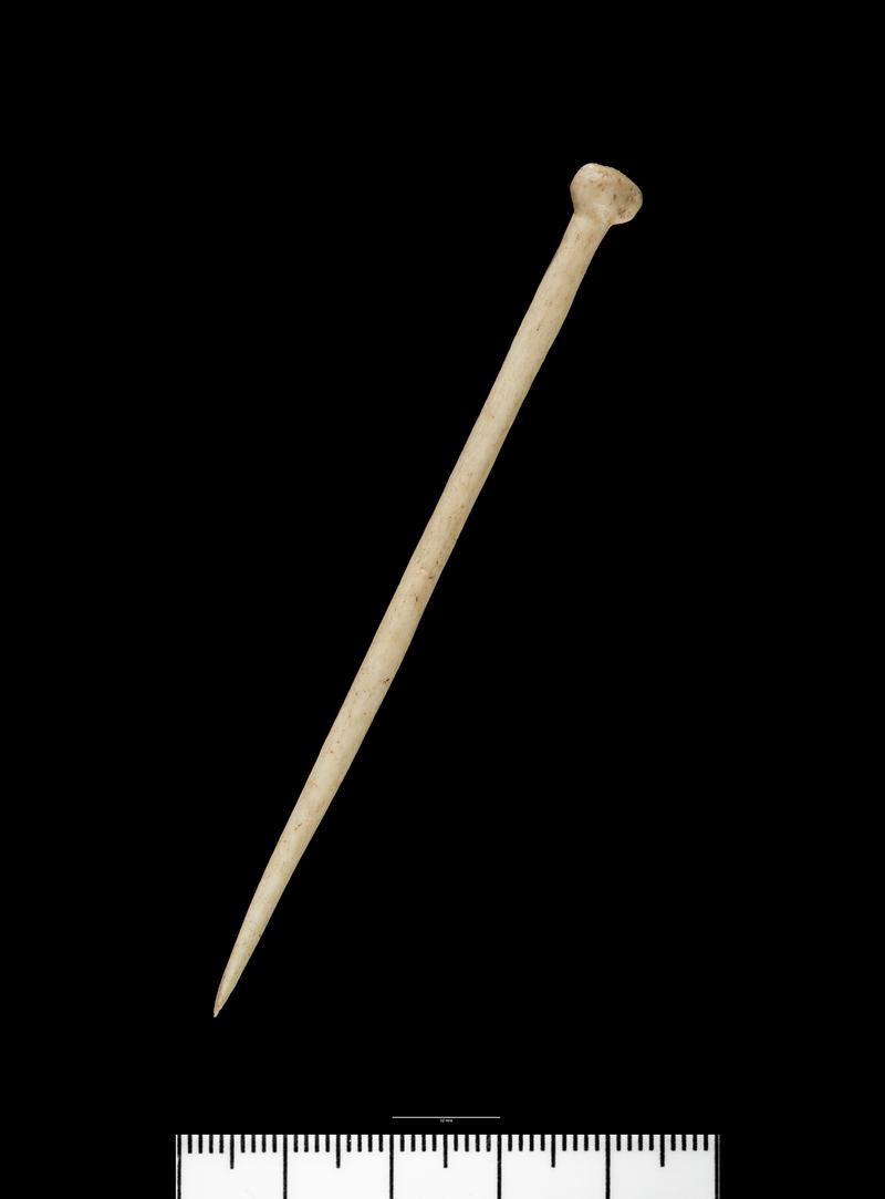 Roman bone pin