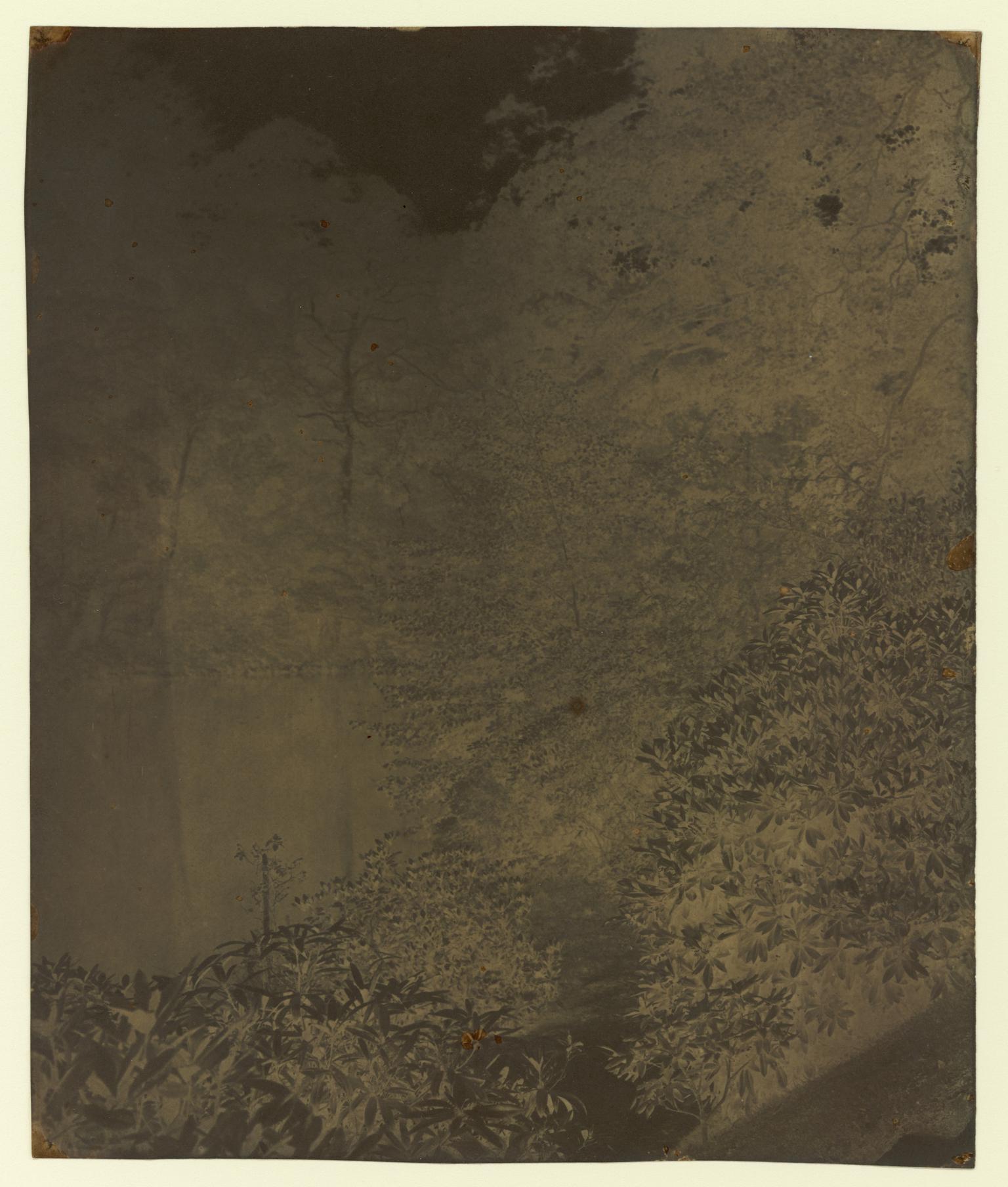 Penllergare, upper lake, paper negative