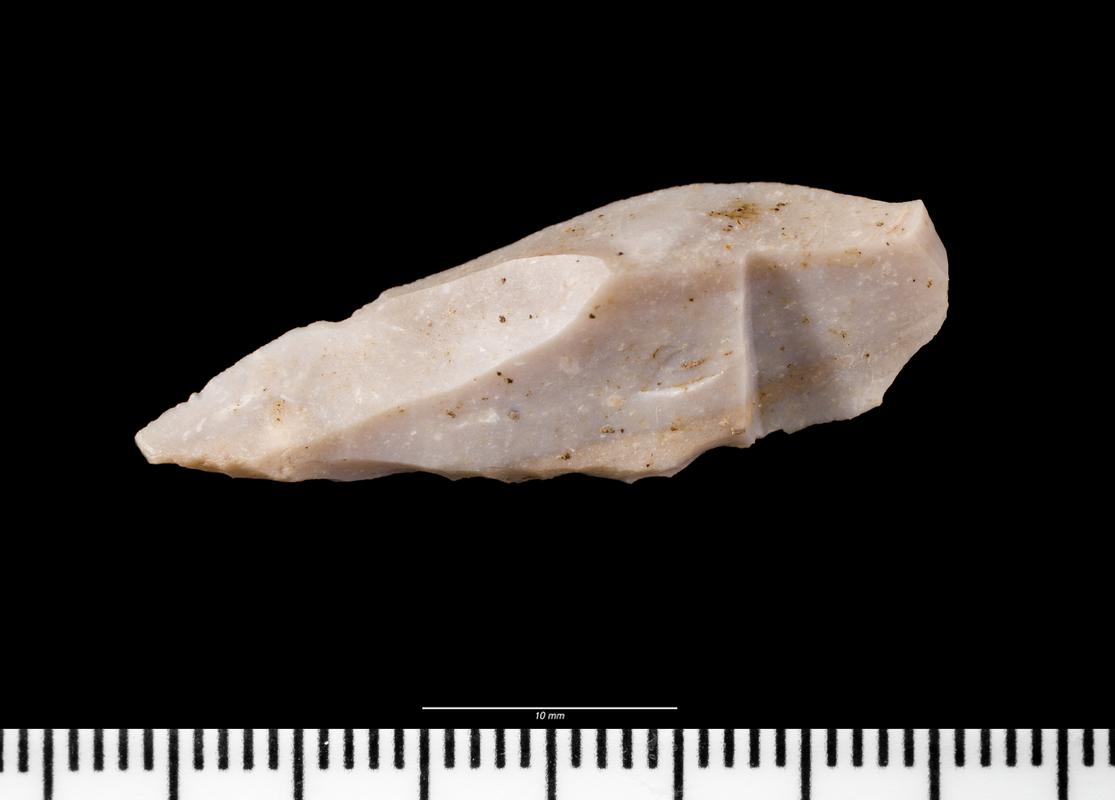 Early Mesolithic flint microlith