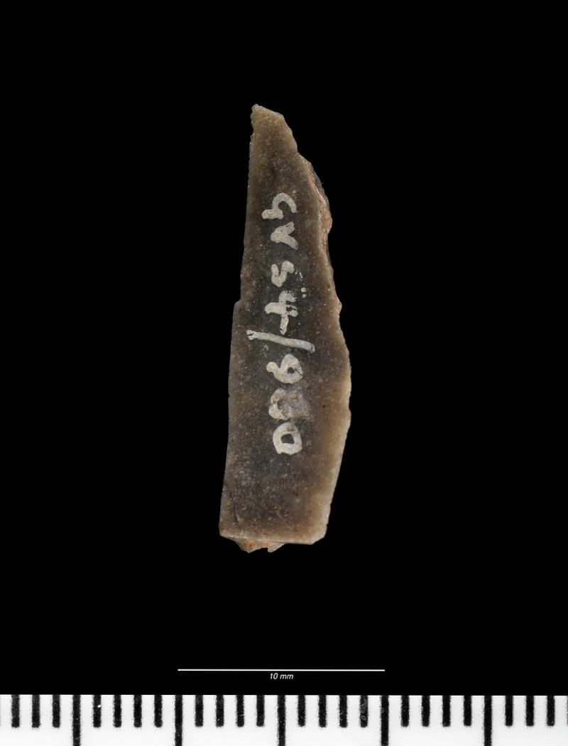 Mesolithic flint microlith